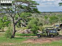 Fordon, personaltlt och kkstlt p mobil camp. (Serengeti National Park, Tanzania)