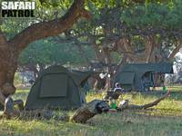 Avkoppling p mobil camp. (Tarangire National Park, Tanzania)