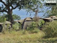Mobil camp p privat mark vid parkgrnsen. (Tarangire National Park, Tanzania)