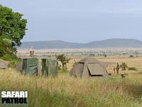 Mobil camp p special camp site David's Camp. (Moru Kopjes i sdra Serengeti National Park, Tanzania)