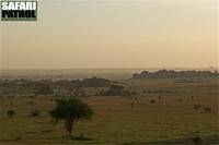 Moru Kopjes. (Sdra Serengeti National Park, Tanzania)