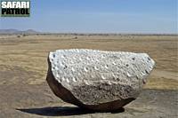 Gong Rock. Med ett metalliskt ljud frn stenen sammankallades massajerna i omrdet frr i tiden. (Moru Kopjes i Serengeti National Park, Tanzania)