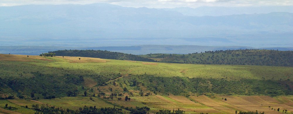 Laikipia.