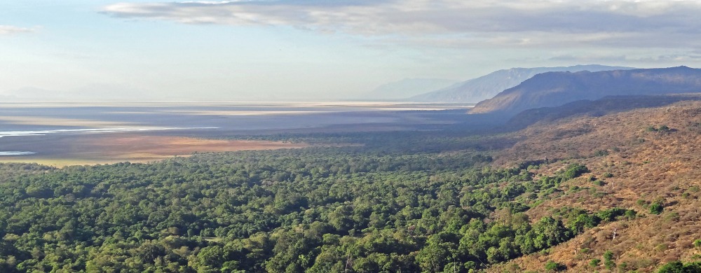 Lake Manyara National Park.