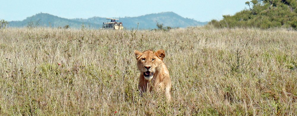 Lake Manyara Wildlife Lodge med utsikt över Great Rift Valley.