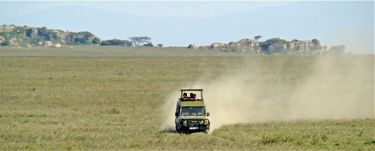 Safarijeep på väg från kopje i centrala Serengeti.