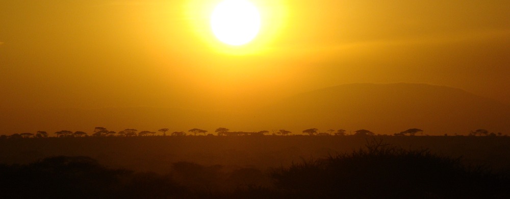 Solnedgång över Serengeti.