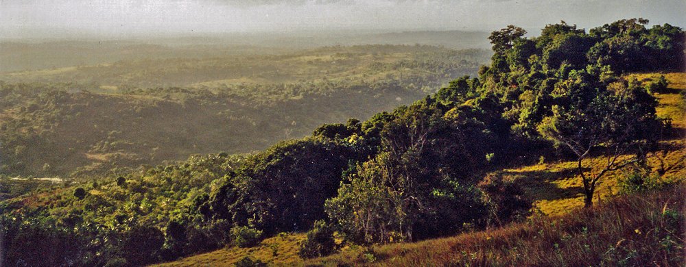 Shimba Hills.