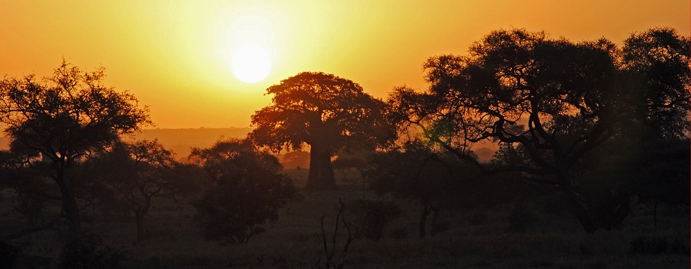 Tarangire National Park.