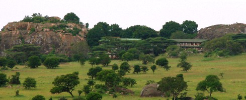 Lobo Wildlife Lodge ligger insmugen i en stor kopje i norra Serengeti.