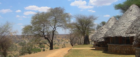 På Tarangire Safari Lodge finns utöver tälten fem bungalower.