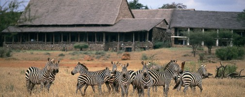 Kilaguni Serena Safari Lodge.