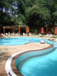 Swimmingpoolen på Samburu Game Lodge.