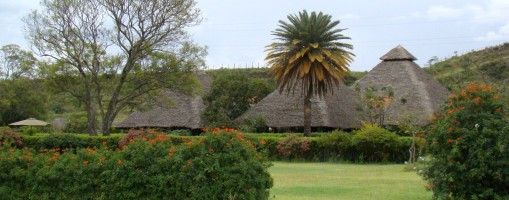 Flamingo Hill Tented Camp.