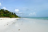 Stranden vid Ocean Paradise Resort.