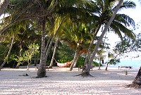 Pongwe Beach Hotel.