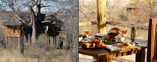 Tarangire Treetops.