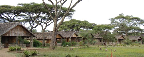 Ndutu Safari Lodge.