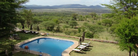 Poolen på Serengeti Sopa Lodge är vänd ut mot parken.