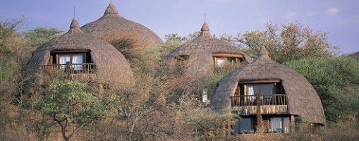 Serengeti Serena Safari Lodge.