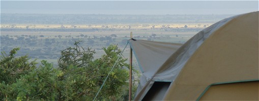 Tält med utsikt över bushen.