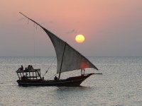 Båtutflykt med dhow.
