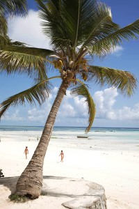 Stranden vid Sultan Sands Island Resort.