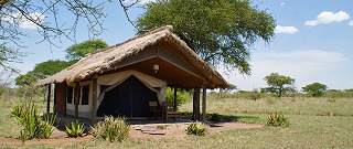 Ikoma Tented Camp.