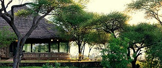 Tarangire Safari Lodge.