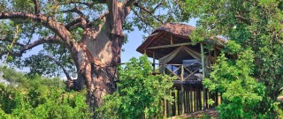 Tarangire River Camp.