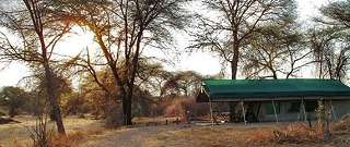 Mdonya Old River Camp