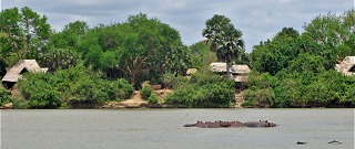 Selous Wilderness Camp