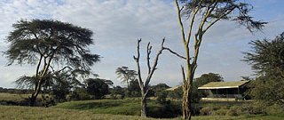 Porini Rhino Camp