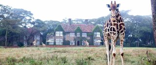 The Giraffe Manor