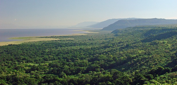 Lake Manyara National Park ligger mellan förkastningsbranten och sjön.