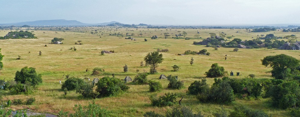 Camp i Serengeti National Park.