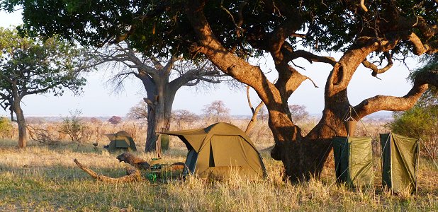 Den mobila campen i Tarangire.