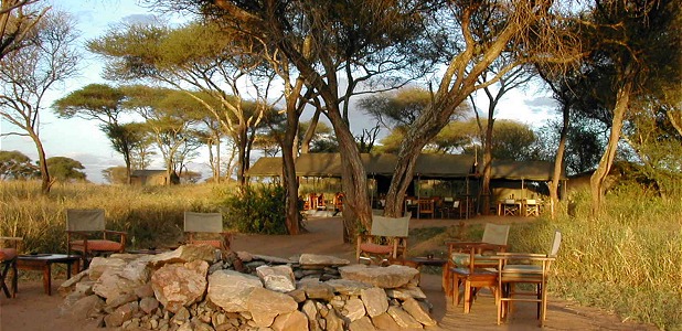 Liten och exklusiv: Oliver's Camp i Tarangire.