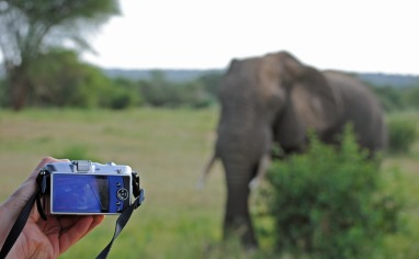 Fotografering i bushen.