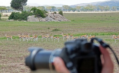 Fotografering i bushen.