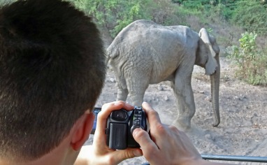 Fotografering i bushen.