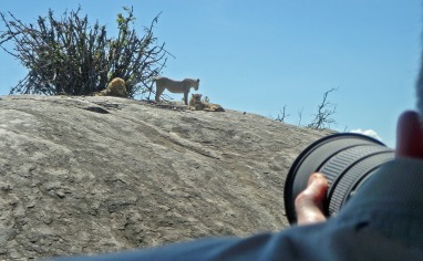 Fotografering i bushen.