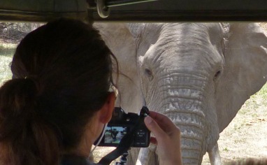 Fotografering i bushen.