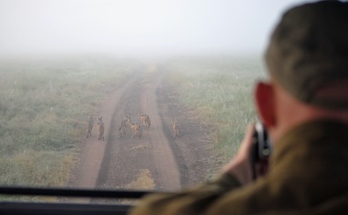 Fotografering i bushen.