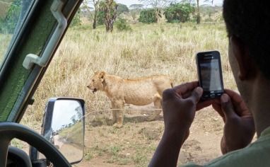 Fotografering i bushen.