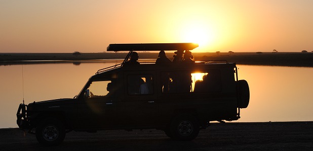 Morgondjurskådning vid Lake Magadi/Lake Moru i Serengeti.