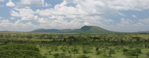Vy över Serengeti National Park.