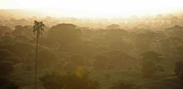 Tarangire National Park.