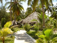 Hotellträdgård i Paje. (Zanzibar, Tanzania)