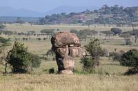 Formerna i det miljardriga urberget har uppsttt genom erosion. (Moru Kopjes i Serengeti National Park, Tanzania)